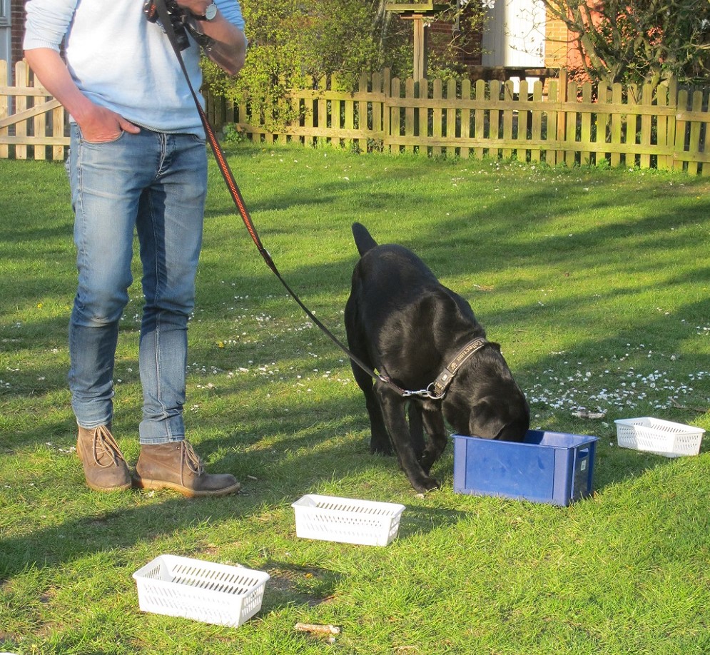 Ozzy til hjemmeside 25